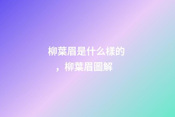 柳葉眉是什么樣的，柳葉眉圖解